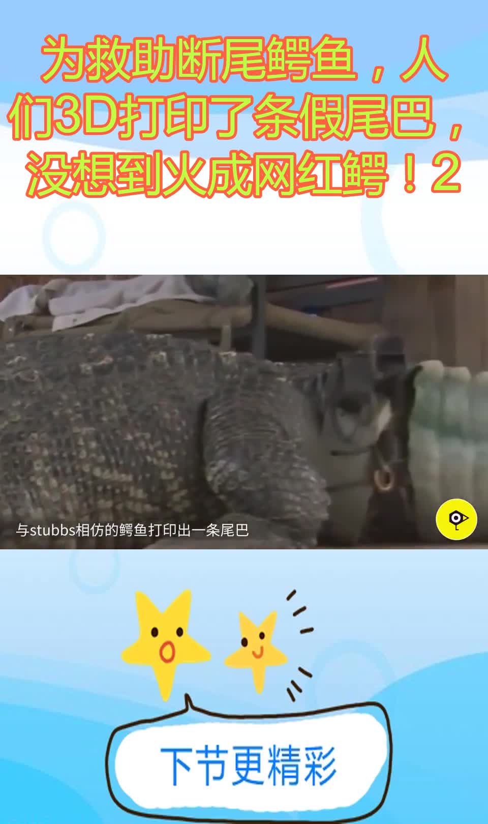 为救助断尾鳄鱼,人们3D打印了条假尾巴,没想到火成网红鳄!2