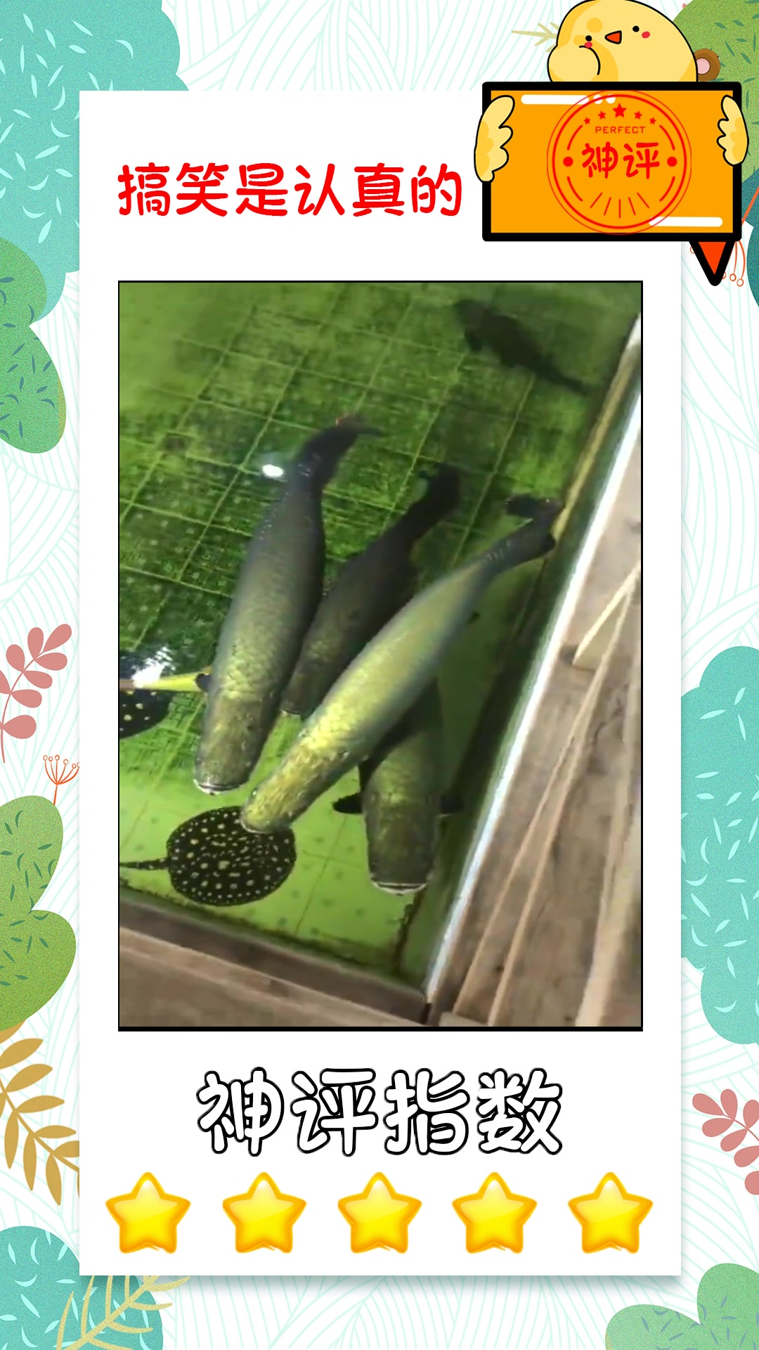 #搞笑#白化雷龙喂巨骨舌鱼,刹那间,灰飞烟灭