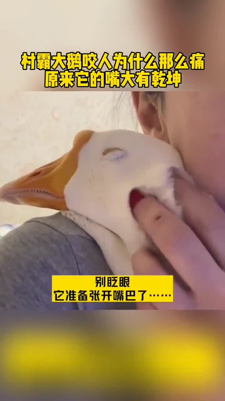 看完这个你就知道大为啥咬人那么痛了大咬人