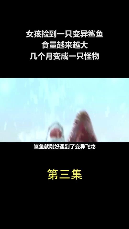 《八爪狂鲨大战梭鱼翼龙》-3#全民小视频电影