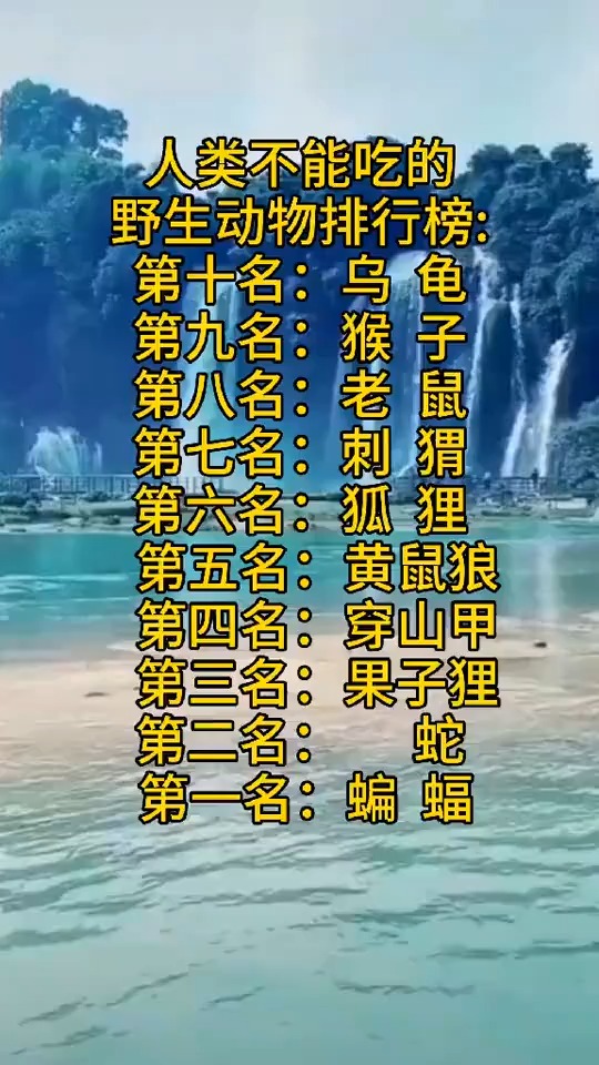 不应该吃的十种动物