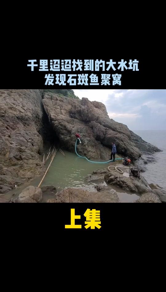 千里迢迢找到的大水坑竟然是聚宝坑,光石斑鱼就有四种,太罕见了(上)
