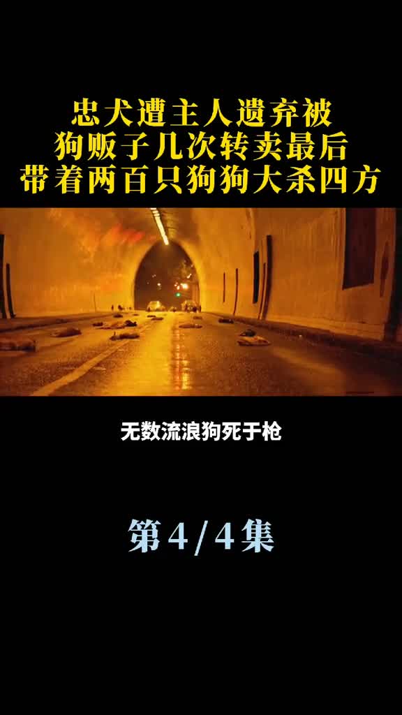 忠犬遭主人遗弃,被狗贩子几次转卖,最后带着两百只狗狗大杀四方