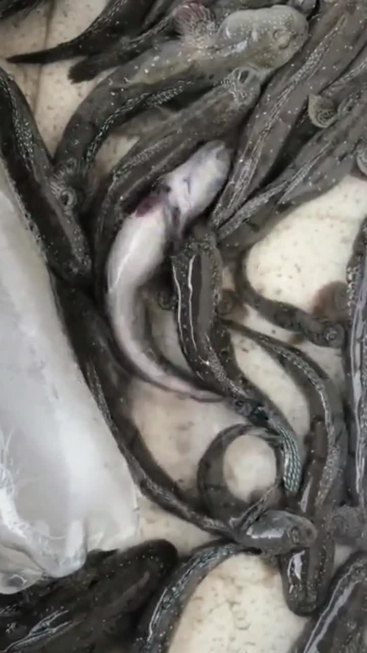 '''