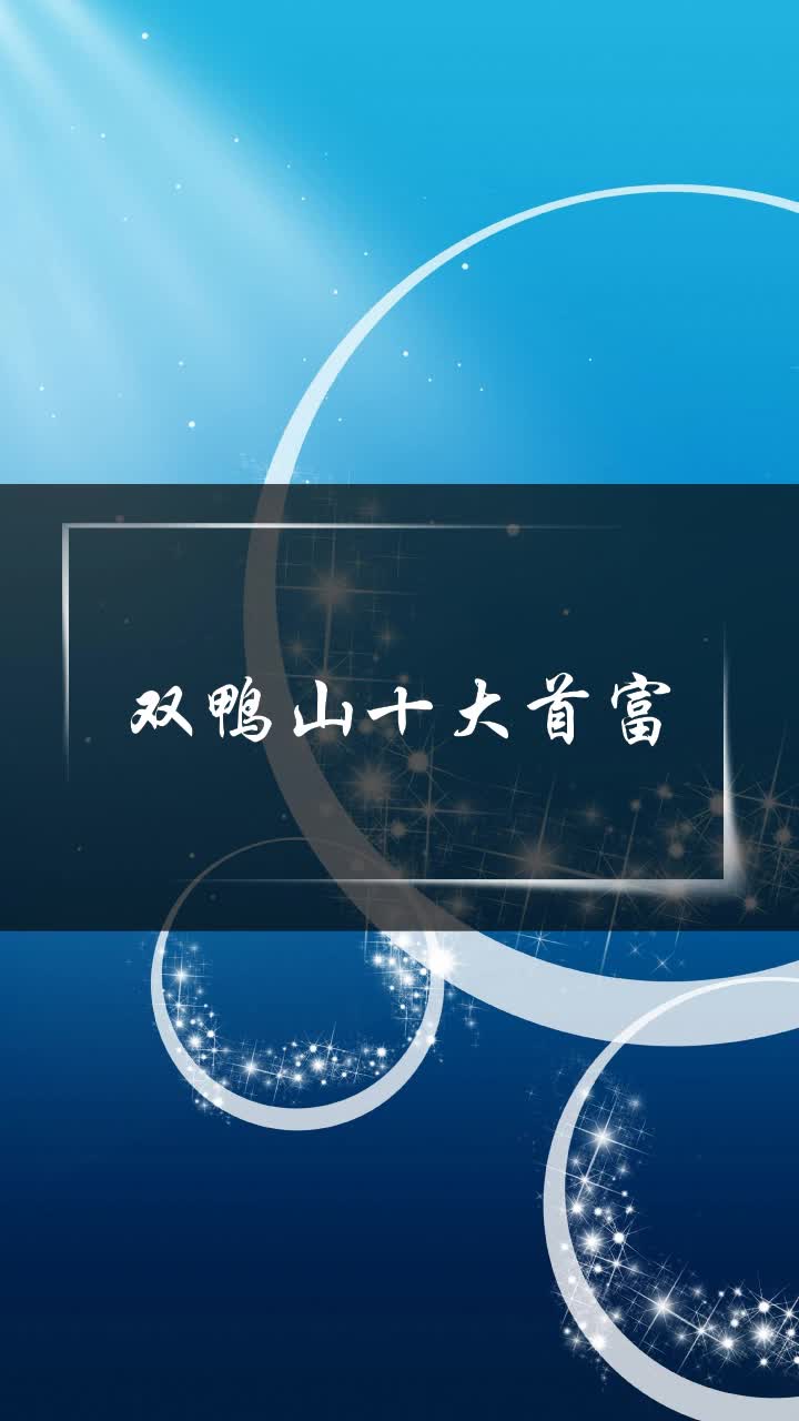 双鸭山十大首富