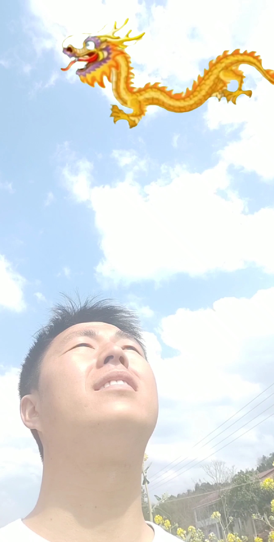 龙在天上飞,好运来了。