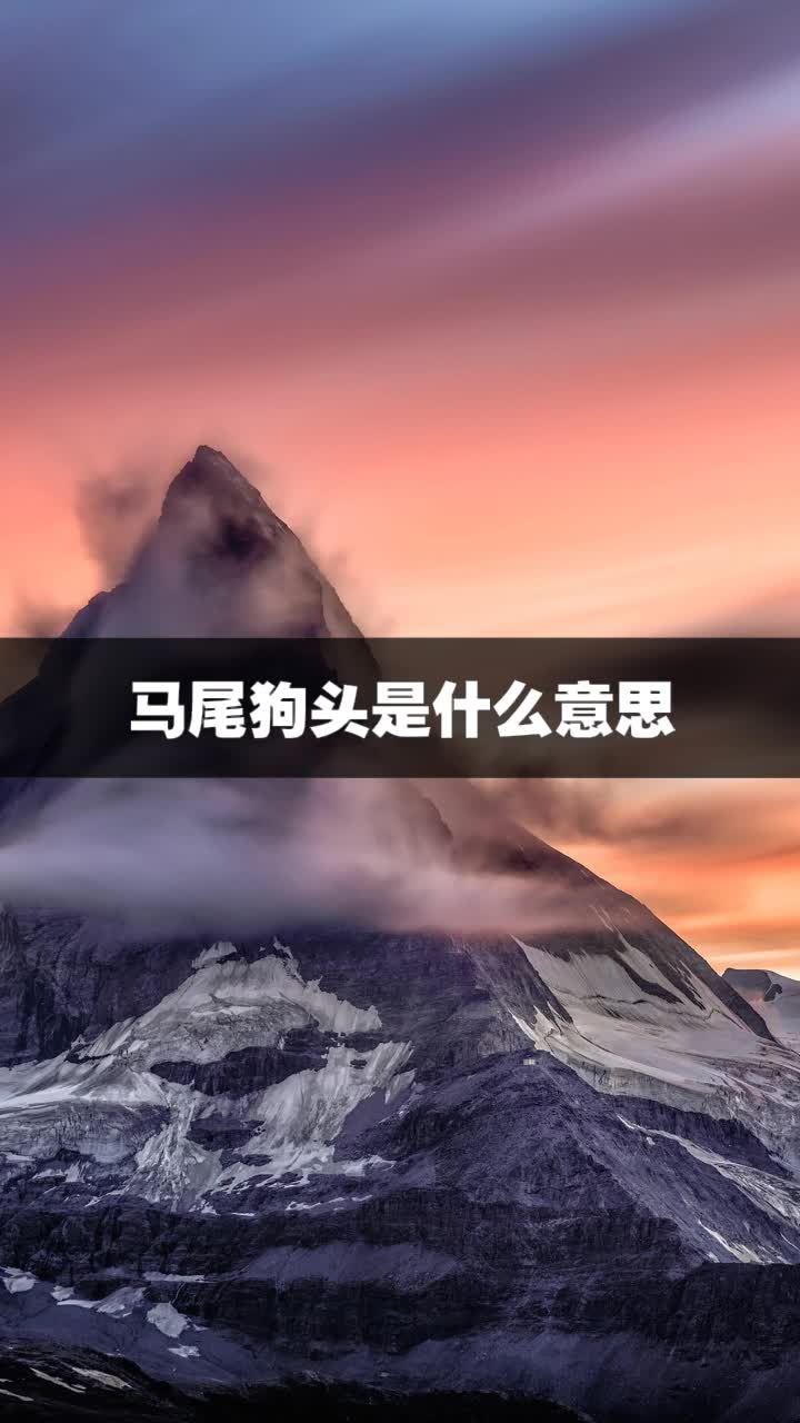 马尾狗头是什么意思
