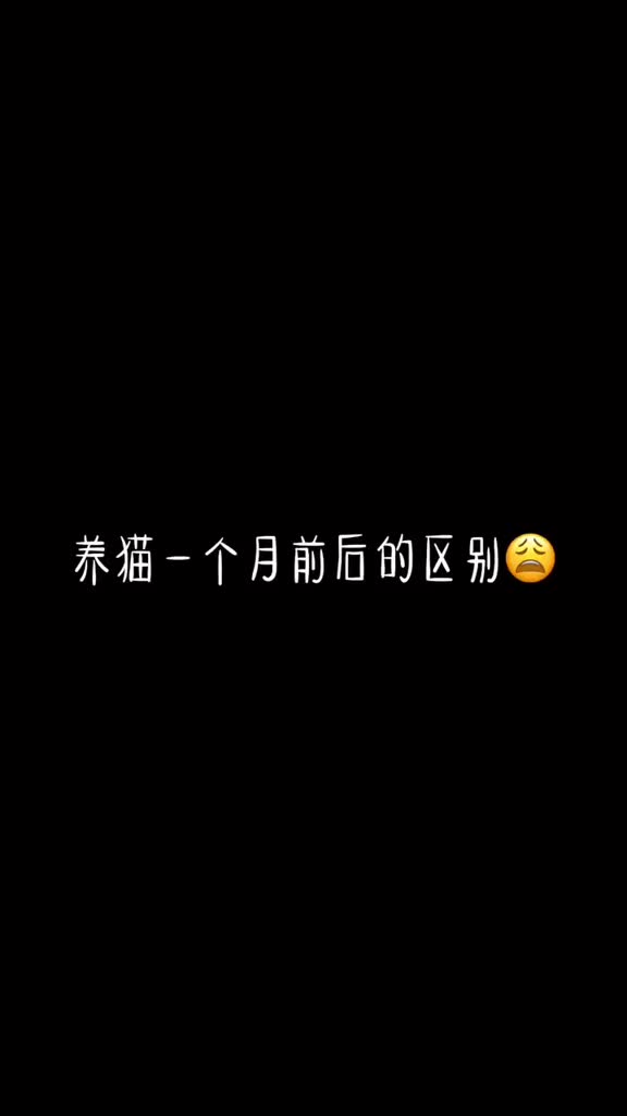 女孩子要轻声细语知道吗 你这样没有猫帅哥敢娶你的  猫咪 蓝猫