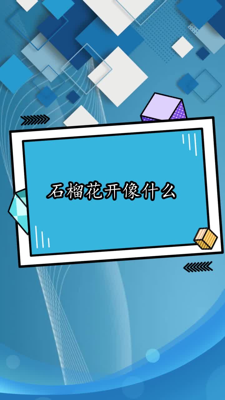石榴花开像什么,你理解了吗