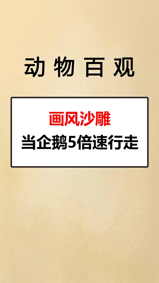 是不是很可爱?