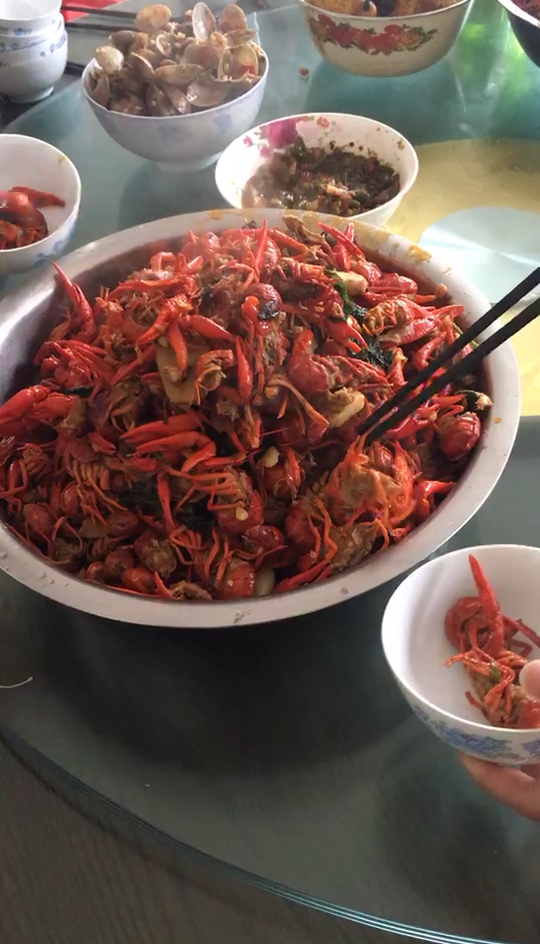 #舌尖上的旅行#日子再苦也要对自己和家人好一点 菜名(龙虾 蛇 肘子 甲鱼 花甲)