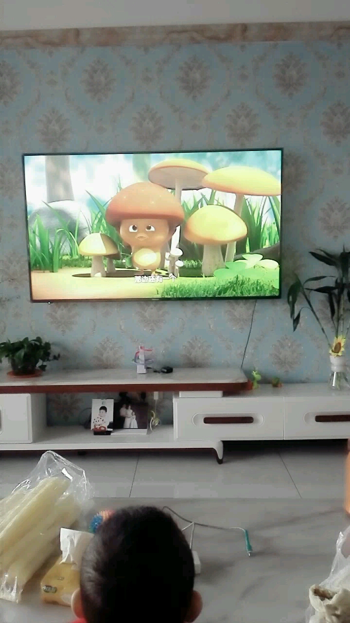 萌鸡小队