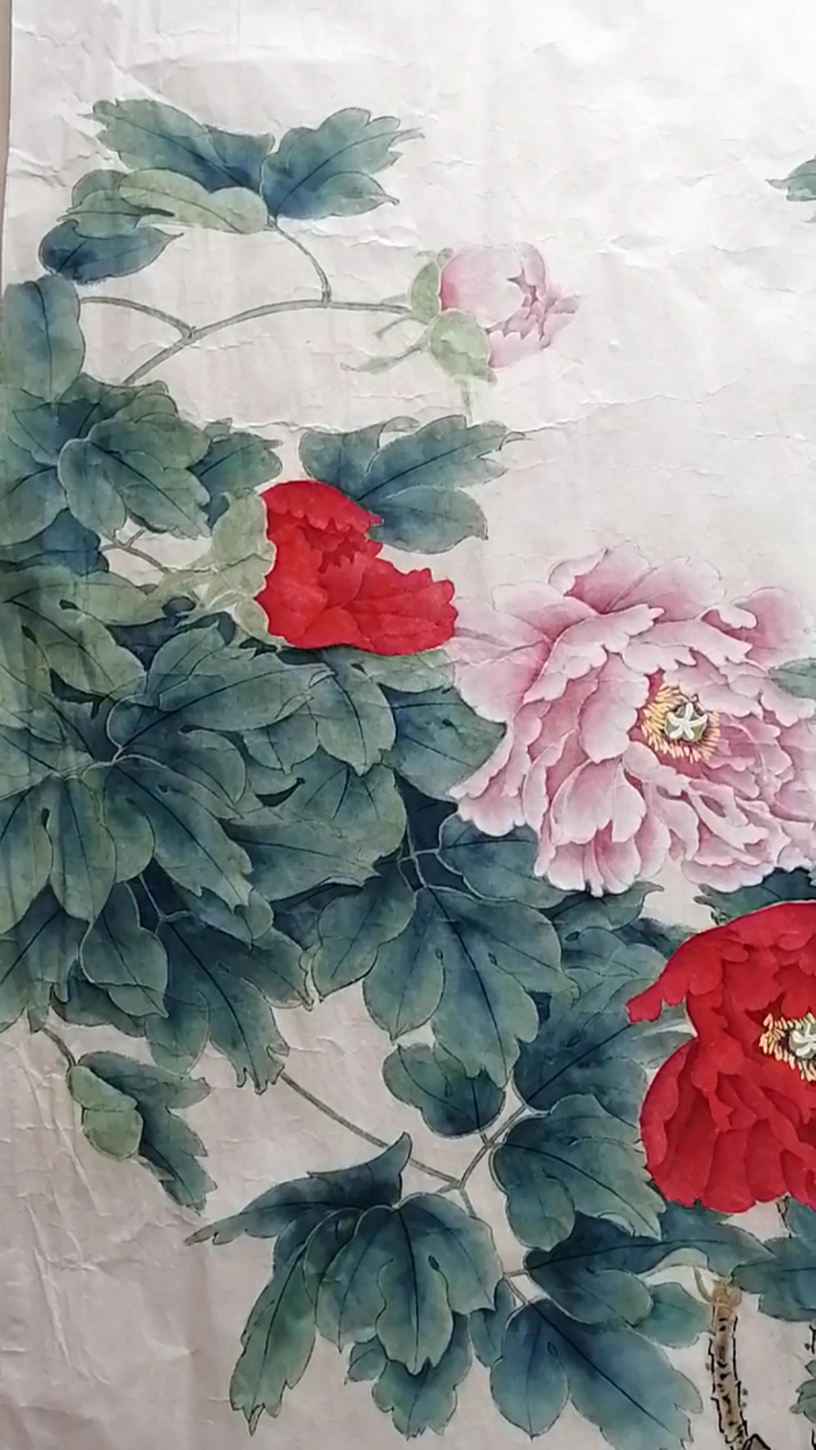 #工笔牡丹#王老师牡丹作品