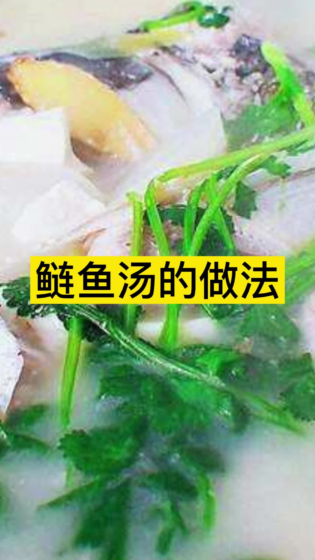 鲢鱼汤的做法,你懂了吗