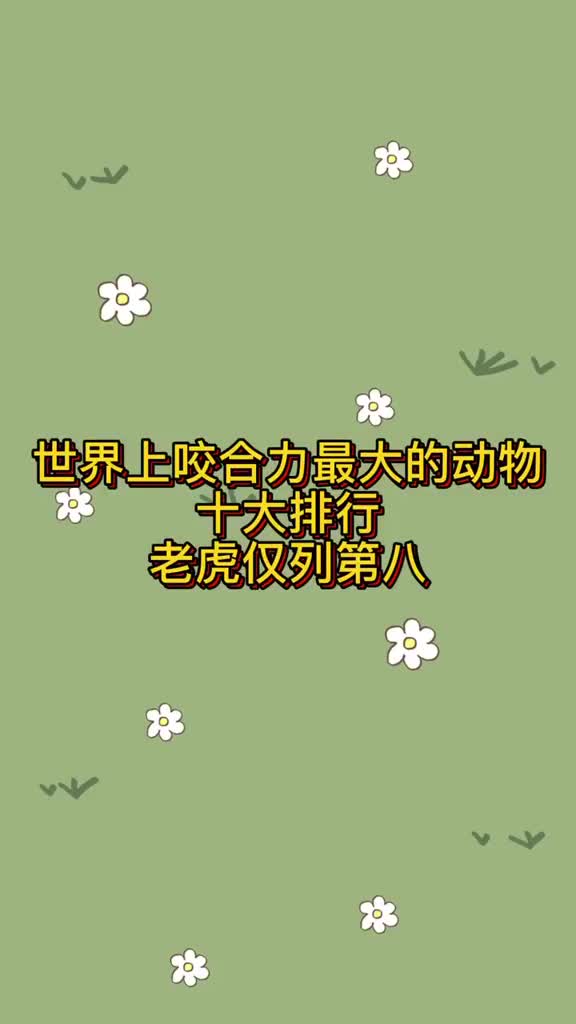 动物世界:有没有比较了解动物的朋友来猜猜看呢