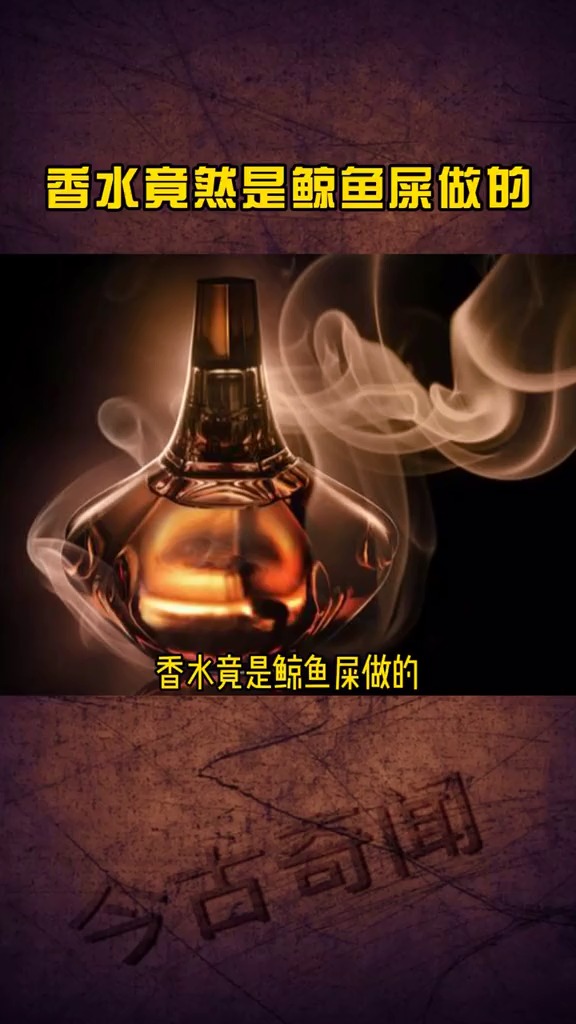 龙涎香为什么那么贵,大牌香水的原料,竟然来自鲸鱼屎