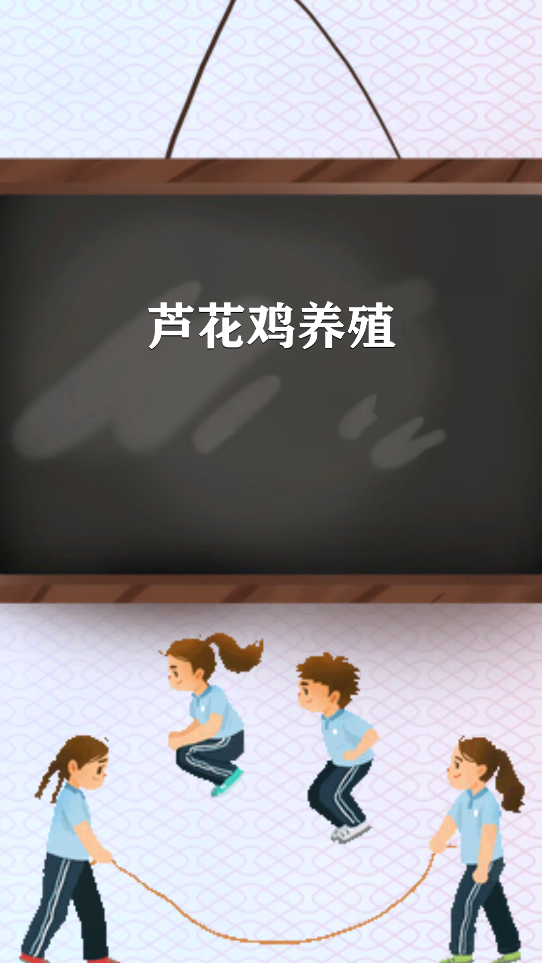 芦花鸡养殖    