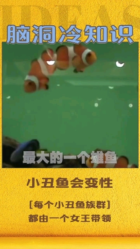 小丑鱼竟会变性! 