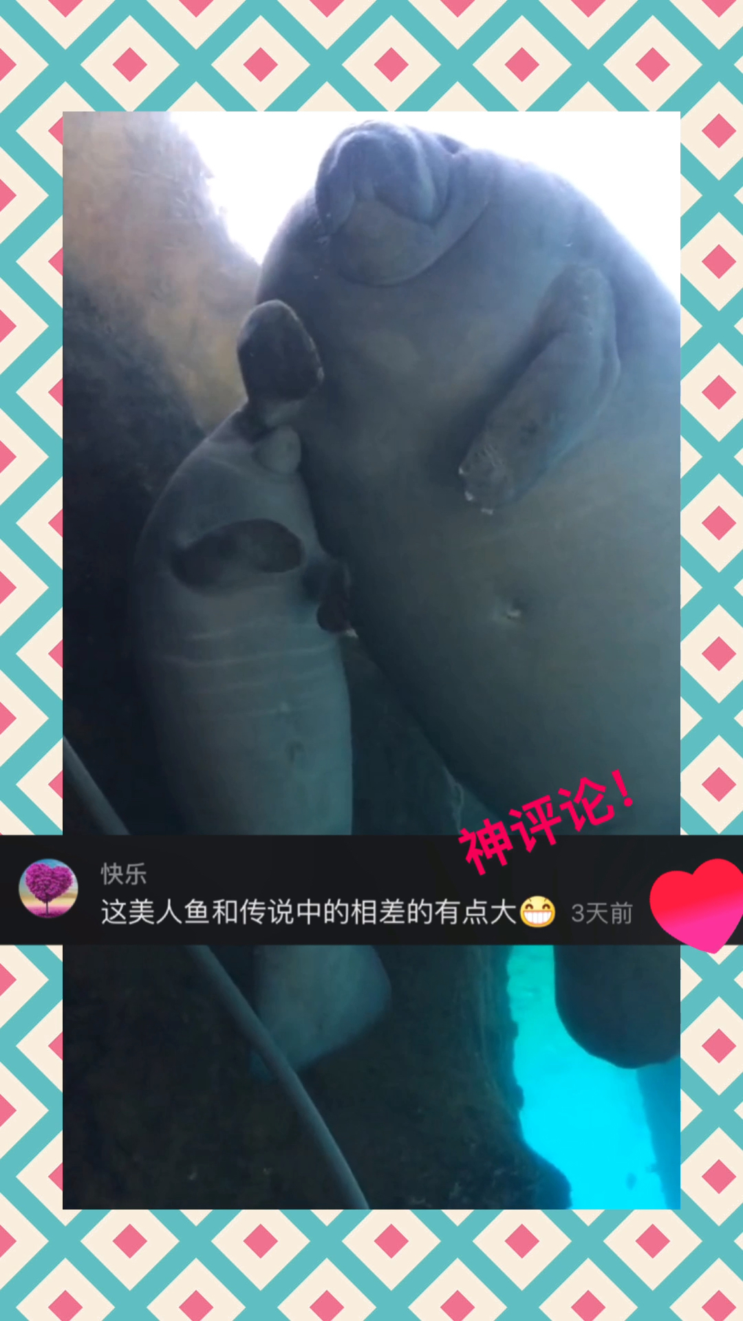 #美人鱼#这是美人鱼♀？我读书少 别骗我