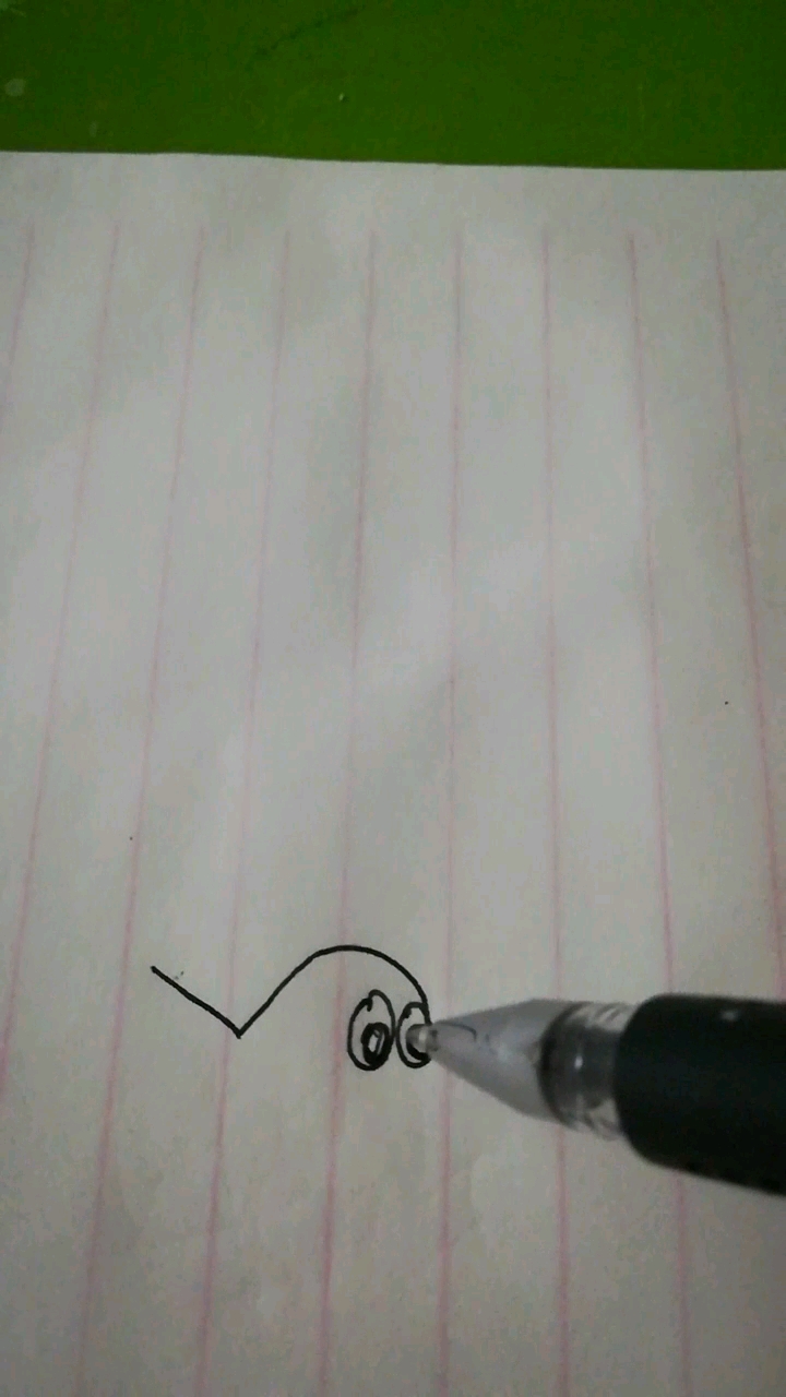 小丑鱼