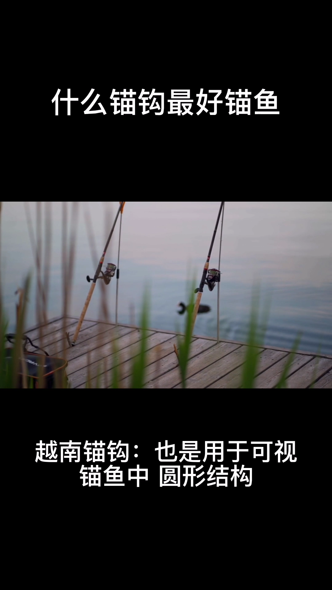 什么锚钩最好锚鱼