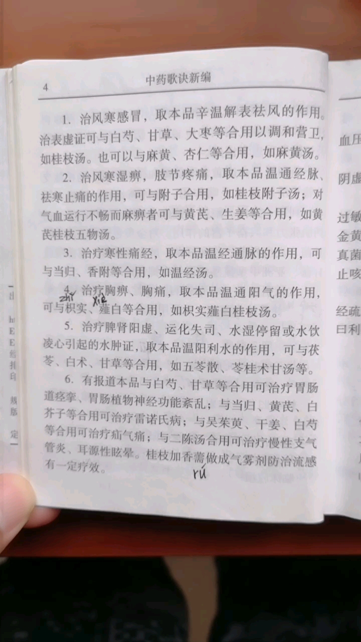 桂枝1