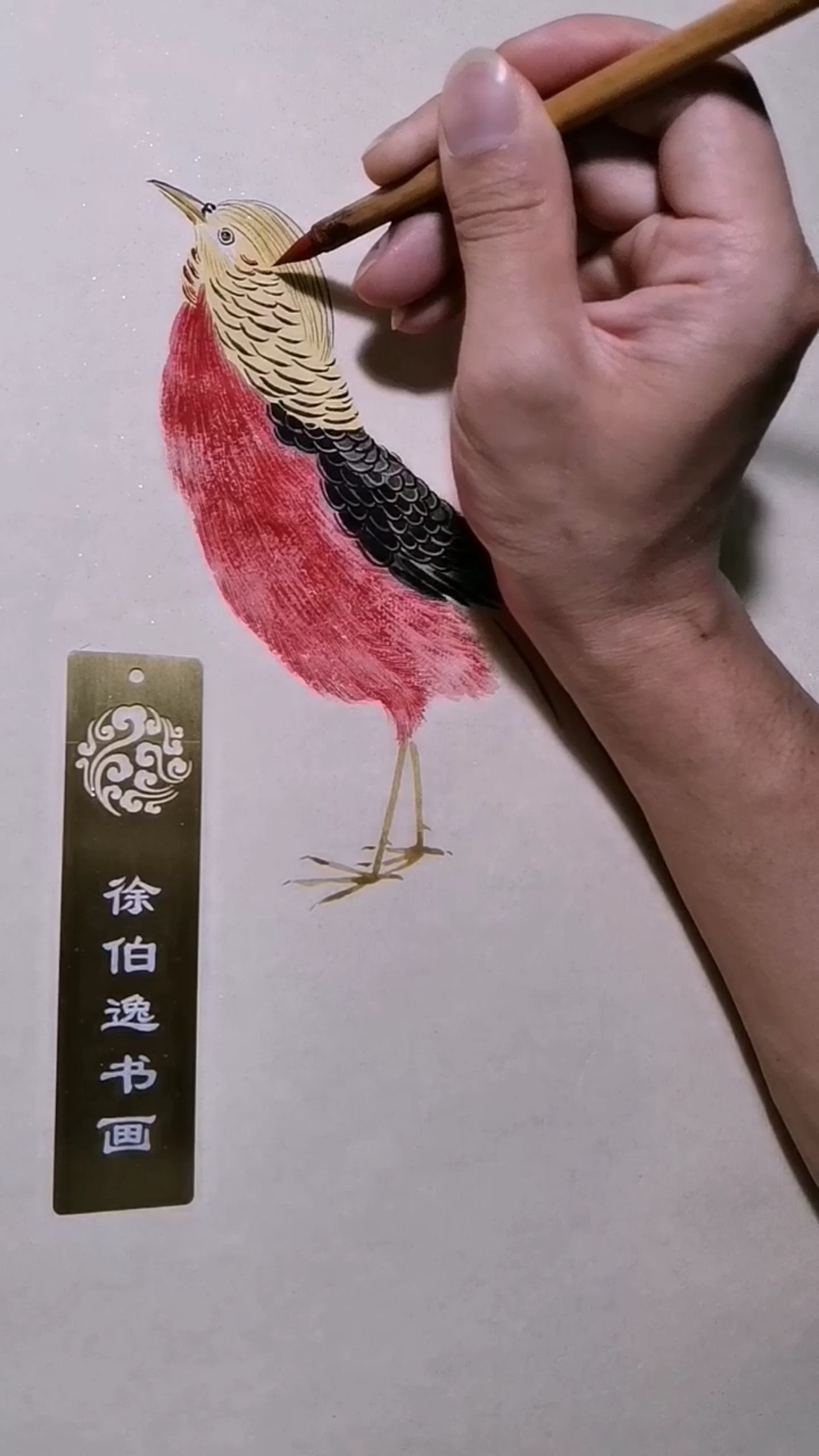 #徐伯逸书画#画一只红腹锦鸡,寓意前程似锦