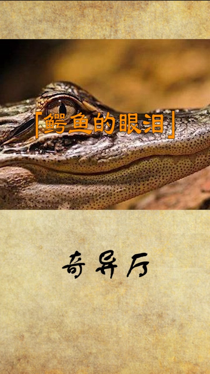 你知道为什么鳄鱼会流泪吗