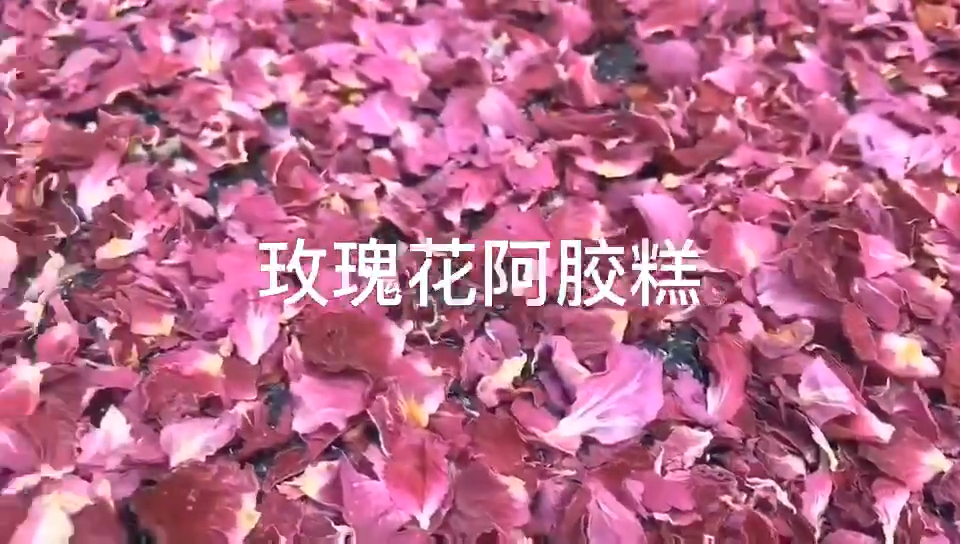 #纯手工阿胶糕#云想衣裳花想容,春风拂槛露华浓。 且让我用着玫瑰花阿胶糕,代替我送去温暖的
