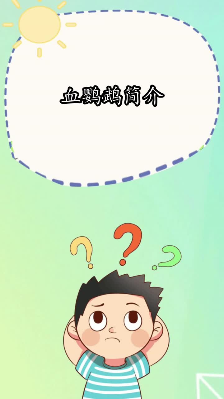 血鹦鹉简介,你知道了吗