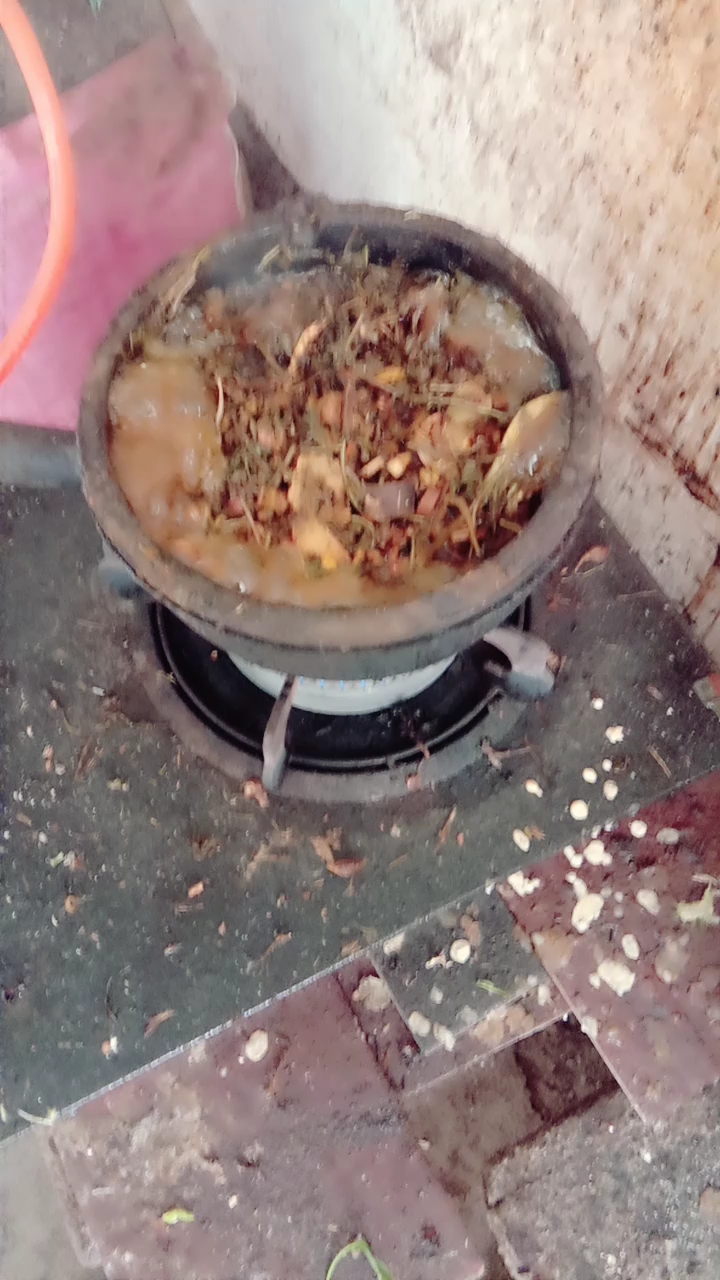 煎中药