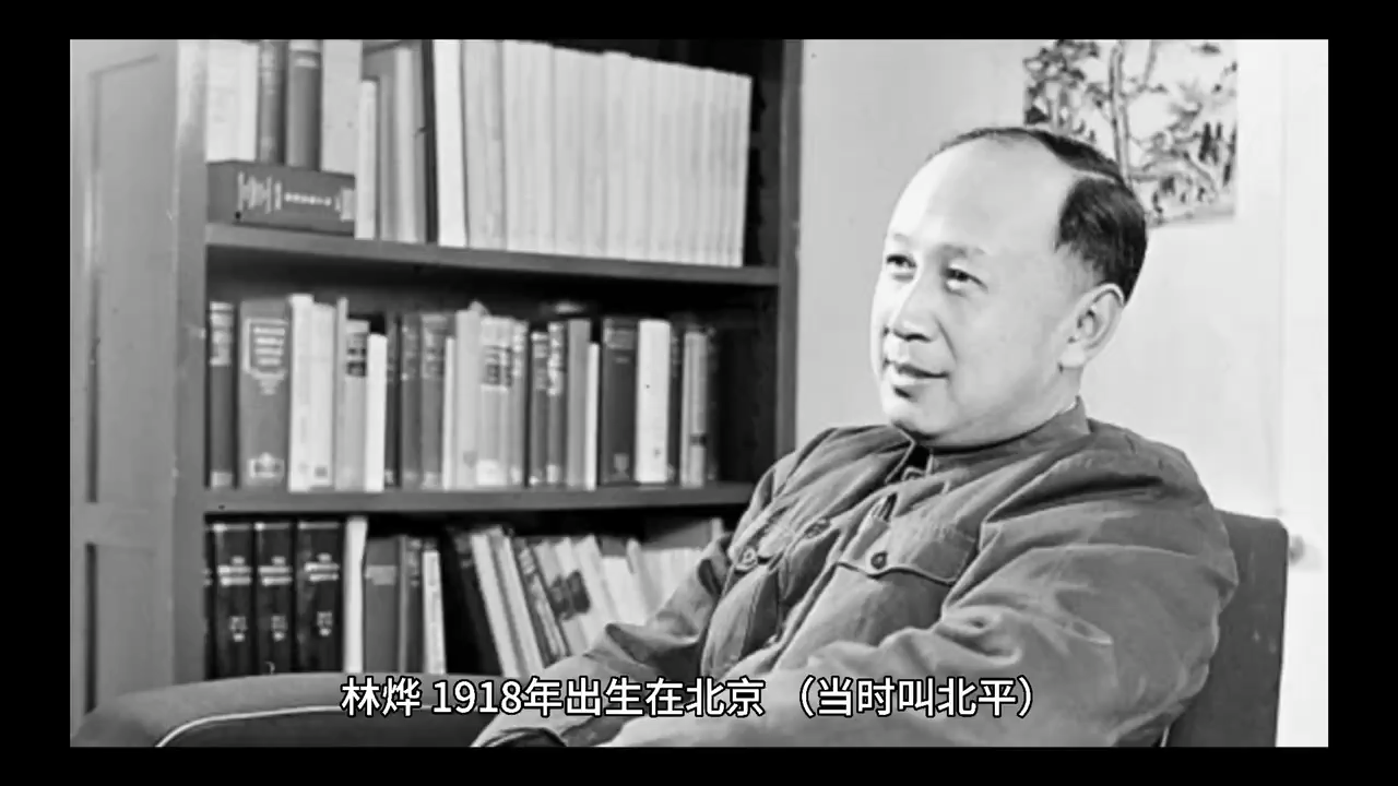 林烨的个人资料简介