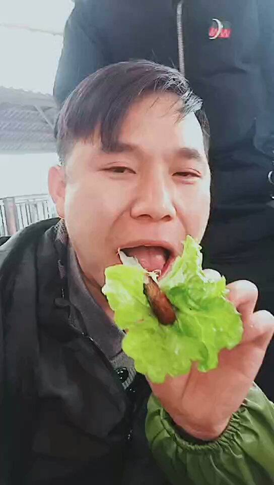 猪吃菜的样子,可爱吗?可爱的小伙伴点个赞。