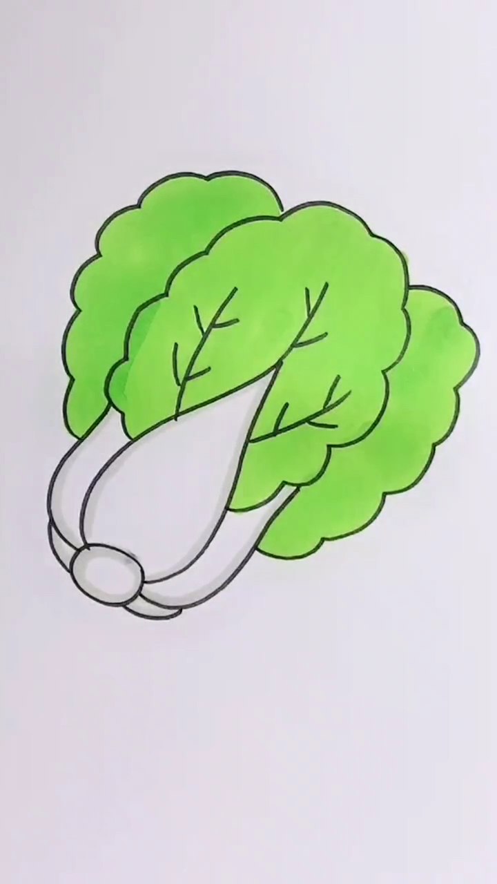 #画画原来如此简单#白菜简笔画