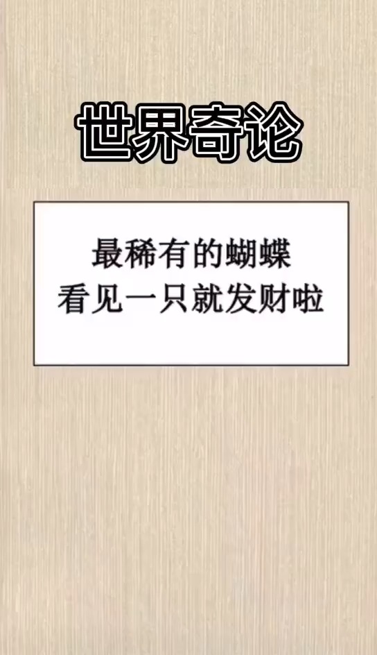 美丽的蝴蝶