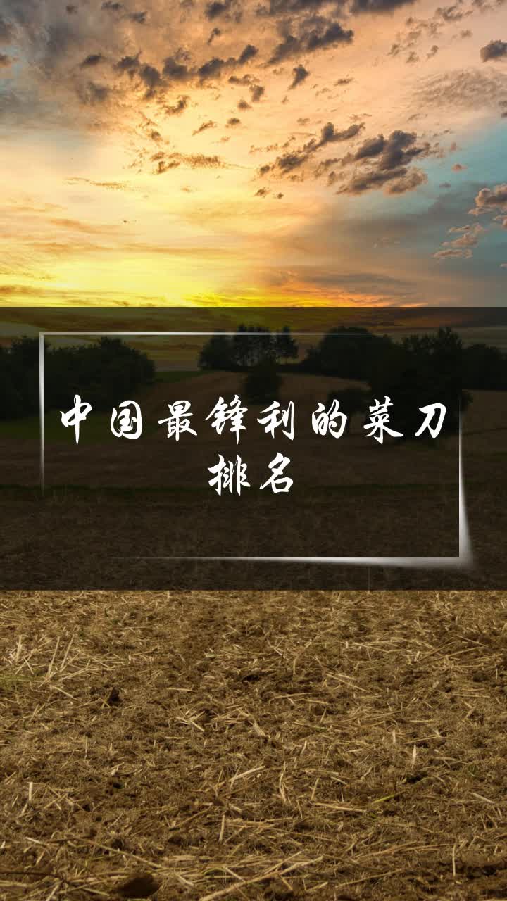 中国最锋利的菜刀排名