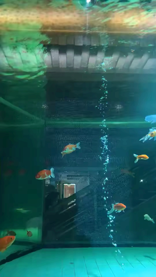 #夏天就要这么过#和平相处