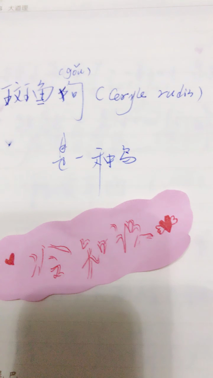 #冷知识#斑鱼狗是什么