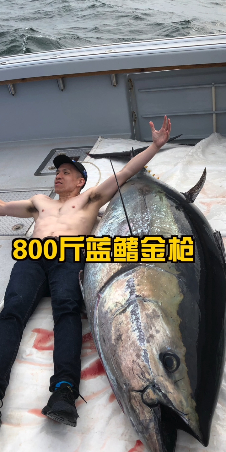 钓蓝鳍这样的巨物,一定要长时间保持腿部下蹲的姿势才安全,且有力!