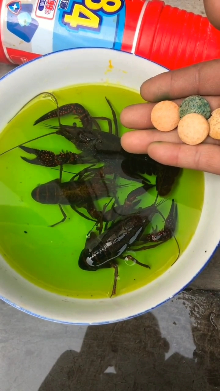 有变化了