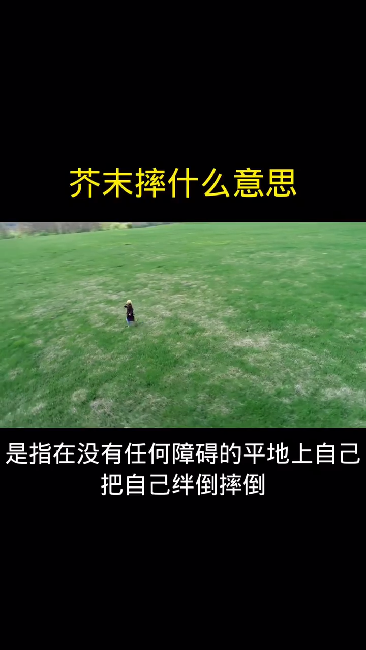 芥末摔什么意思  