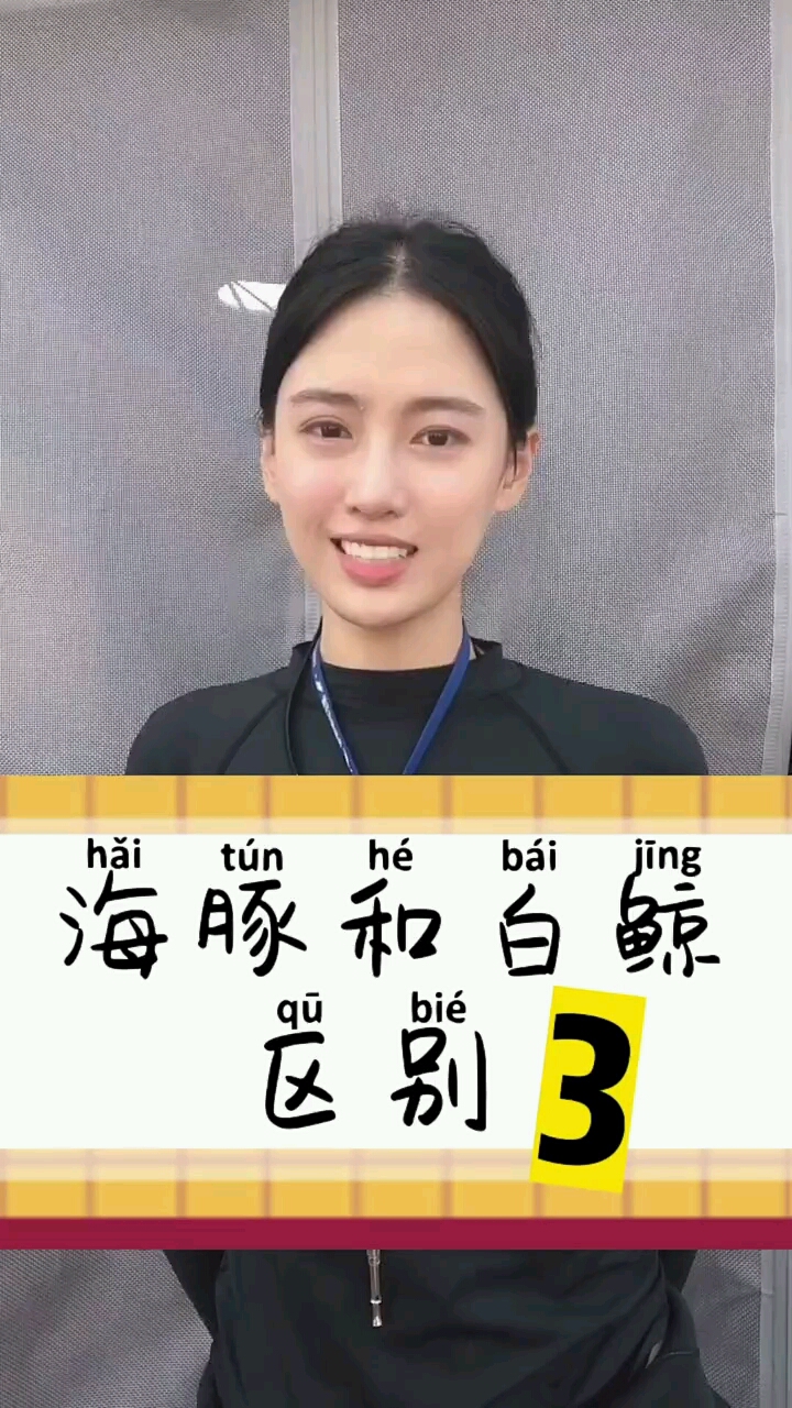 海豚和白鲸的区别3,终于来啦#乐岛海洋王国 #科普