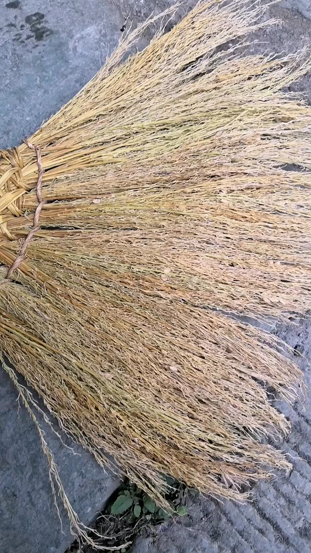 稻草,编织的扫把,够聪明吧!