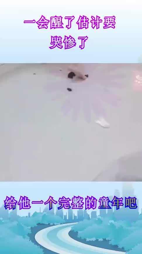 不知道等他父亲醒了以后,是会给他一个完整的童年,还是一顿“竹丝炒肉”