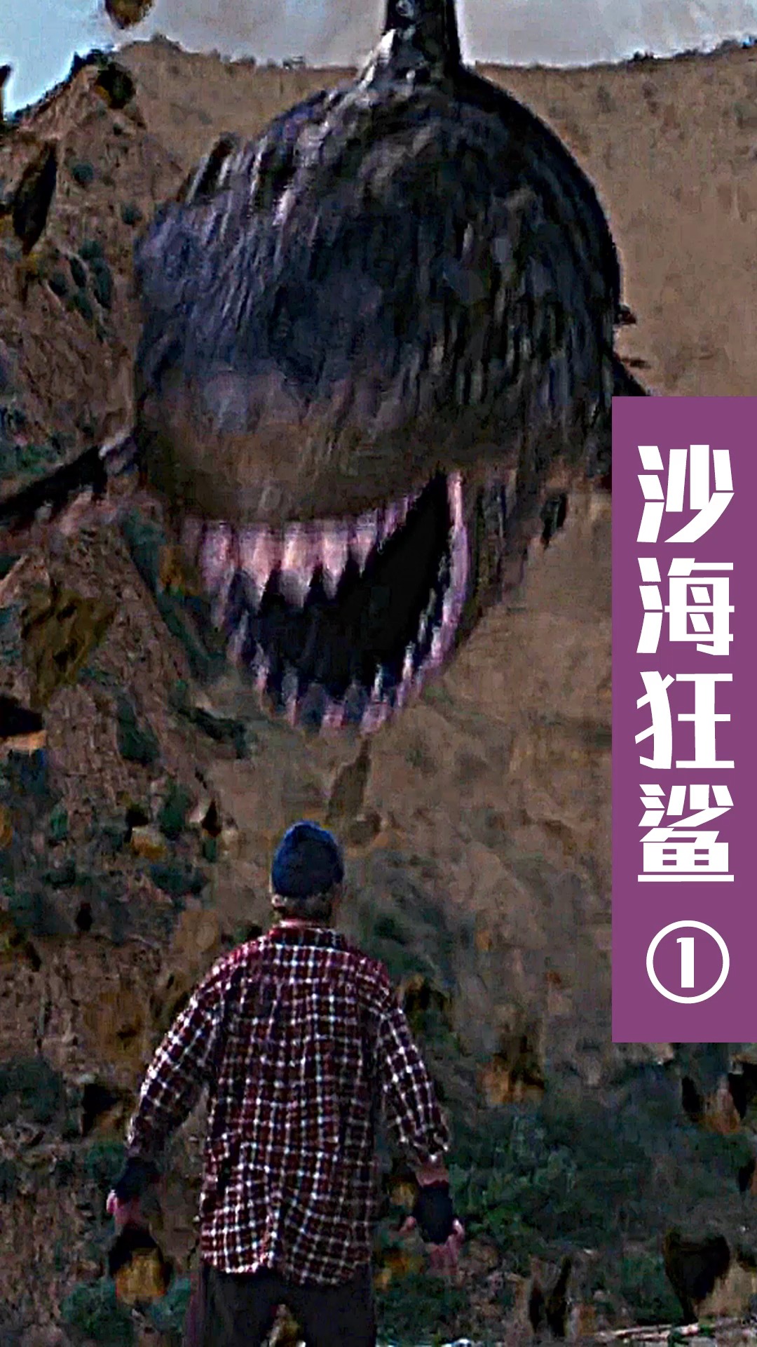 水陆两栖的鲨鱼见过吗?它在沙子里游泳的速度比在水里还快