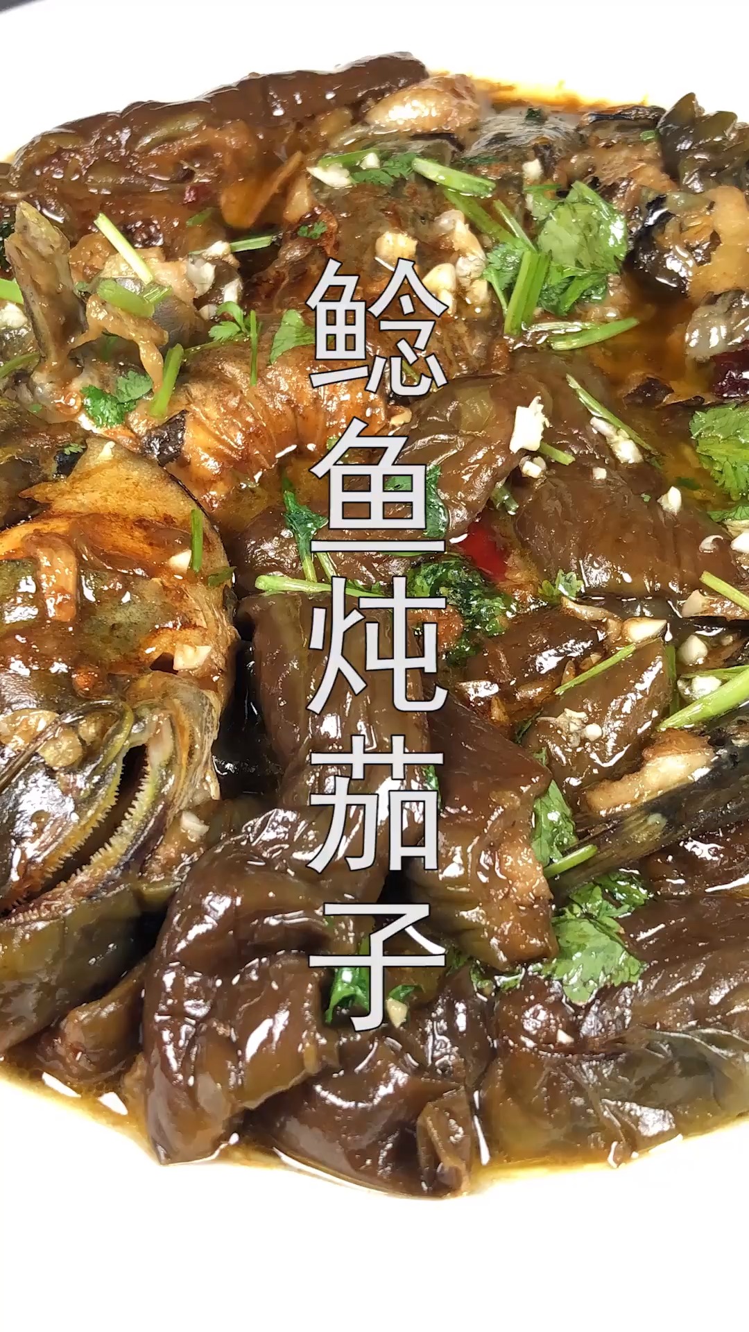#家常菜#鲶鱼炖茄子的家常做法，肉嫩鲜美，上桌一盘没够吃
