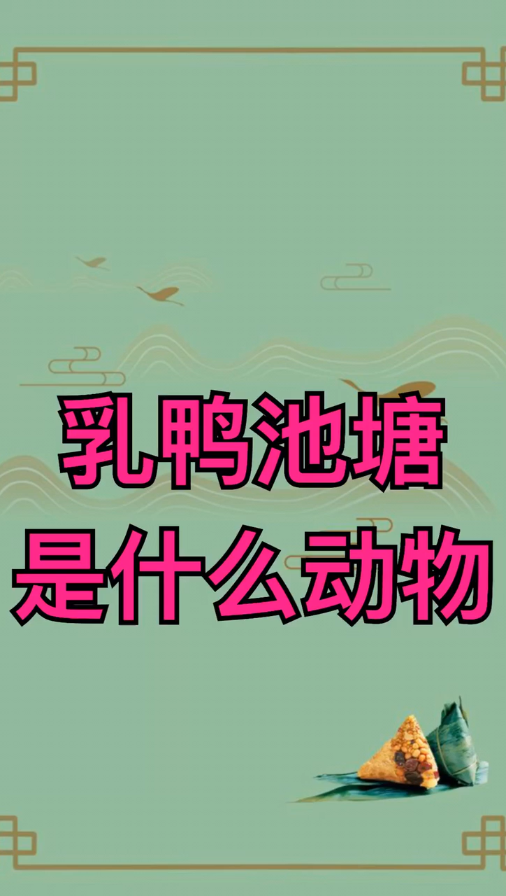 乳鸭池塘是什么动物