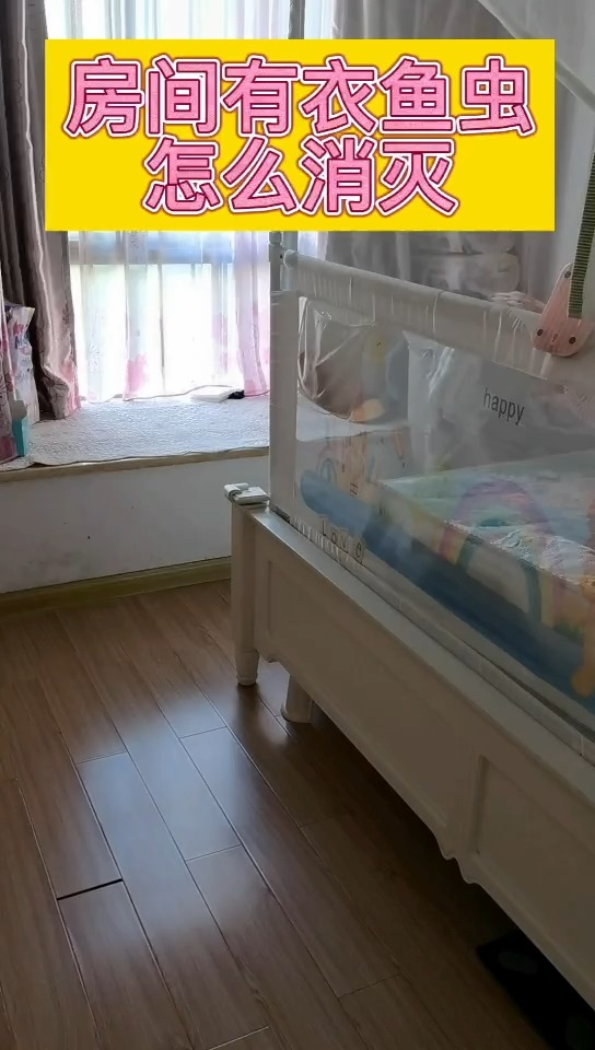 #衣鱼虫#房间有衣鱼虫怎么消灭干净