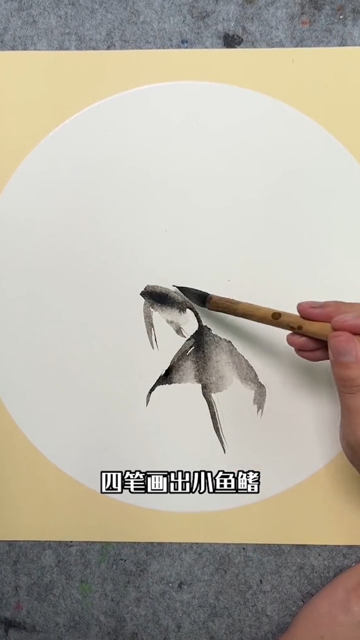 一看就会的金鱼 动手学起来