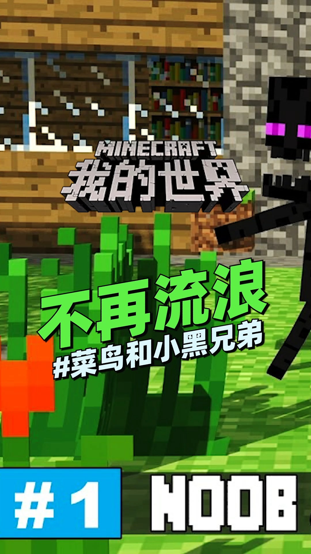 #我的世界#MC动画菜鸟和小黑系列《不再流浪》:流浪的菜鸟和小黑被女巫收留